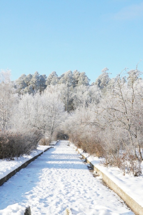 Зимний Саров - 08.jpg.jpg